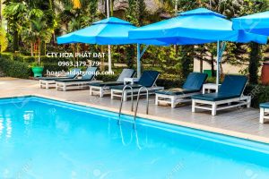 Báo giá cung cấp dù che nắng dù che mưa giá rẻ uy tín tại Bình Thạch