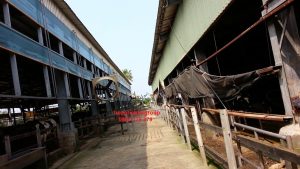 bạt che chuồng trại hòa phát đạt