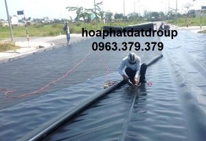 màng chống thấm hdpe hòa phát đạt